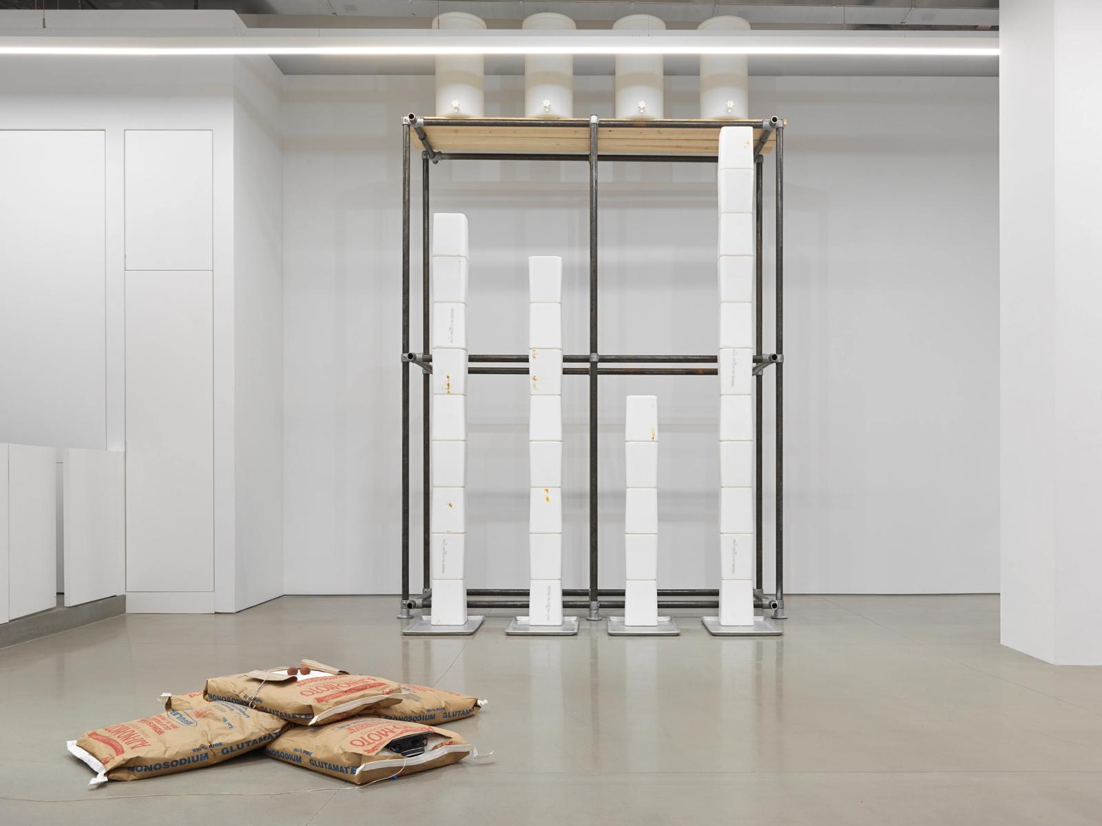 Installation view of Michael Joo: Sweat Models 1991 - 2026, on view at Space ZeroOne from February 20 through April 18, 2026. Photo: Genevieve Hanson