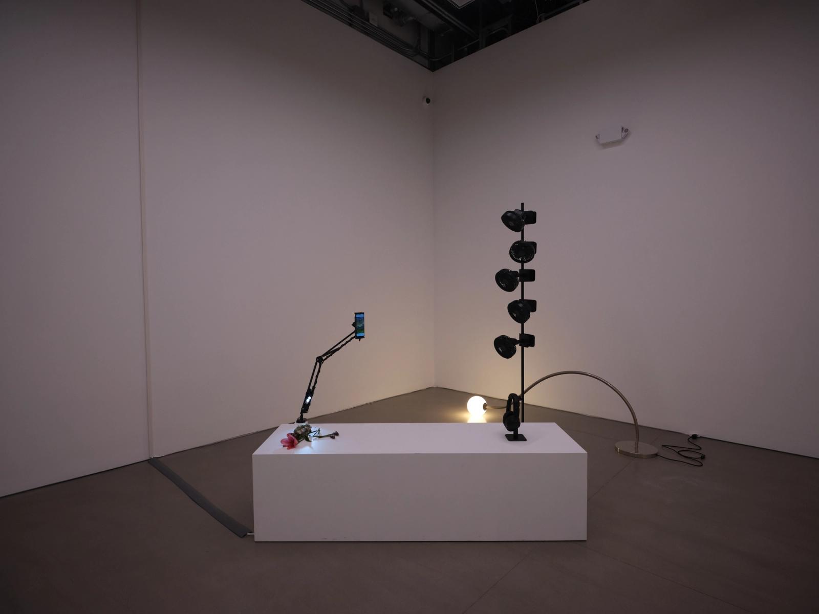 Min Jung Song, Scene, 2022. Video installation, Full HD, color, sound, 30 min 38 sec. Dimensions variable. Photo: Charlie Rubin