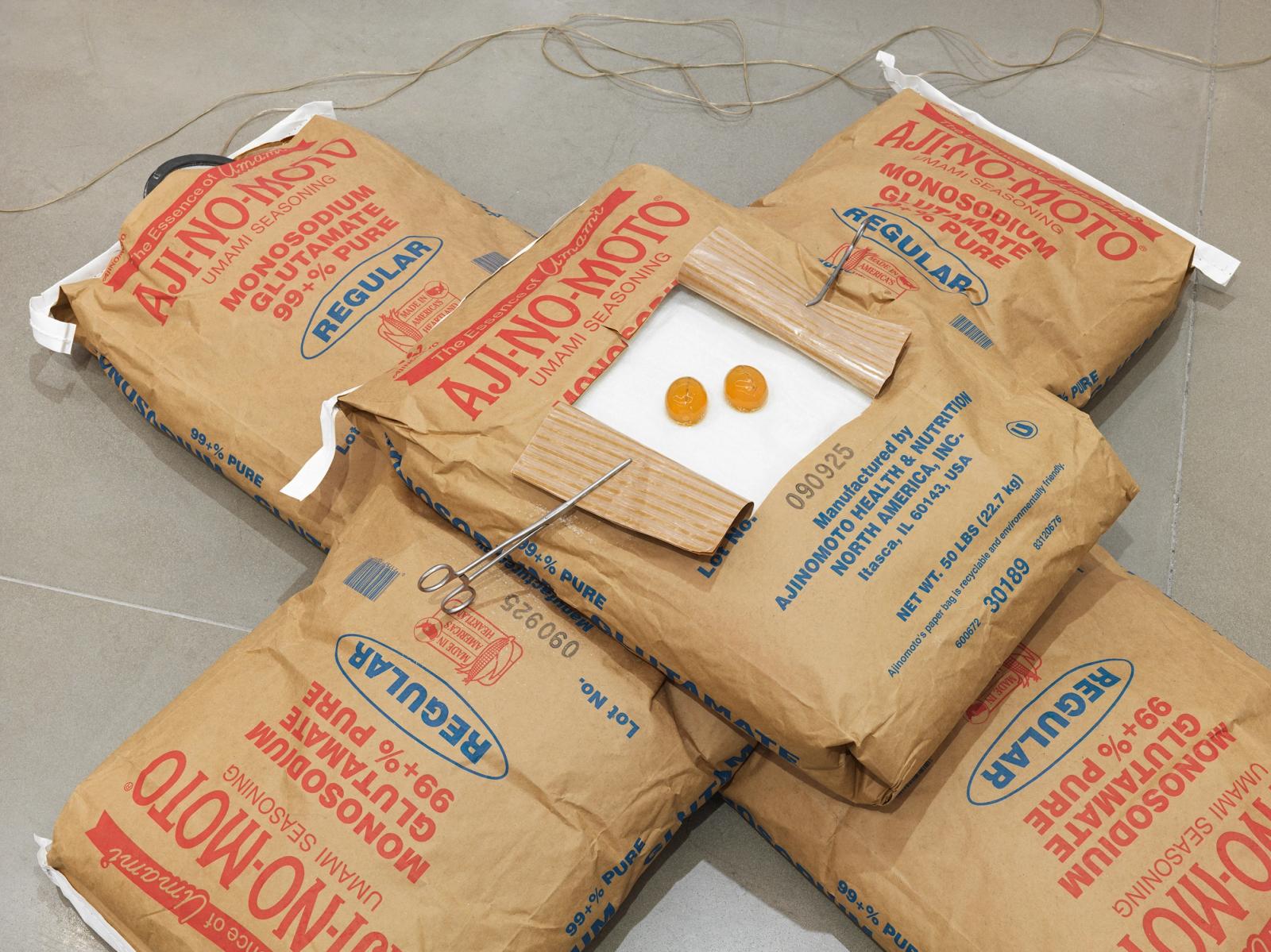 Michael Joo, Mongoloid, 1992. Bags of MSG, Ben Wa balls, prosthetic testicles, lychee nuts, coaxial speakers, programmed CD loop. Overall: 15 × 128 × 48 in. (variable). The Rachel and Jean-Pierre Lehmann Collection. Photo: Genevieve Hanson