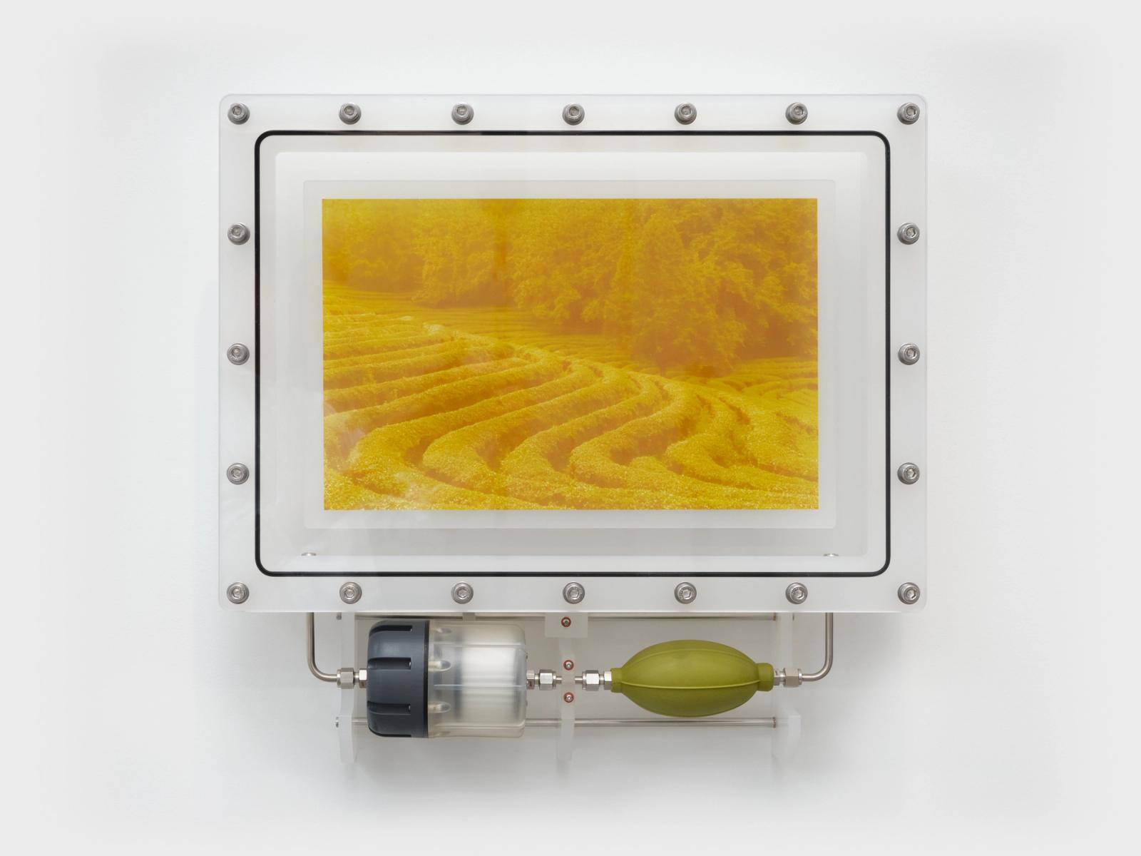 Jungki Beak, is of Boseong Green Tea Field 2025-1, 2025. Inkjet print with pigment extracted from green tea leaves, epoxy coating, acrylic sealed chamber, oxygen removal device, 20.1 × 20.9 × 4.8 in. Photo: Charlie Rubin