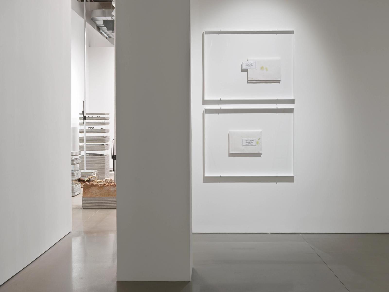 Installation view of Michael Joo: Sweat Models 1991 - 2026, on view at Space ZeroOne from February 20 through April 18, 2026. Photo: Genevieve Hanson