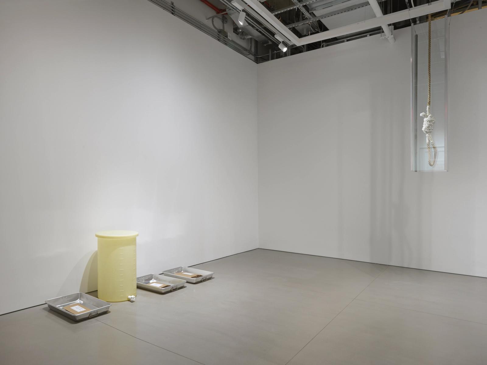Installation view of Michael Joo: Sweat Models 1991 - 2026, on view at Space ZeroOne from February 20 through April 18, 2026. Photo: Genevieve Hanson